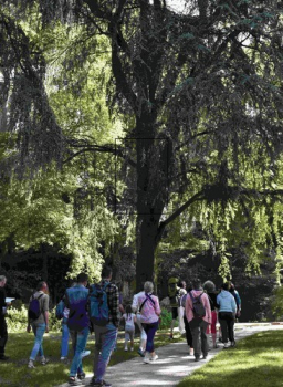 Promenade sous les arbres au parc des Oblates - Promenades À... Le 5 août 2024