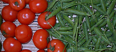 Marché Ste-Luce