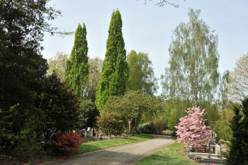 Arboretum Cimetière parc